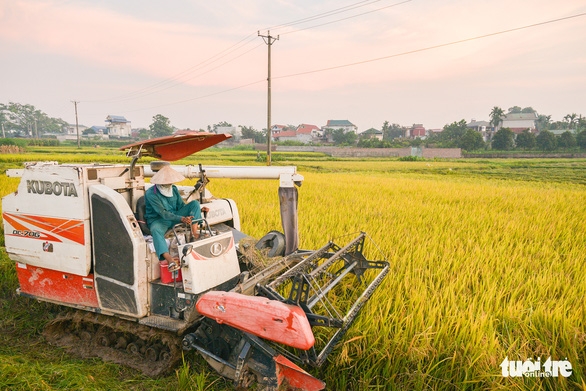 Netherlands keen to enhance economic ties with Vietnam